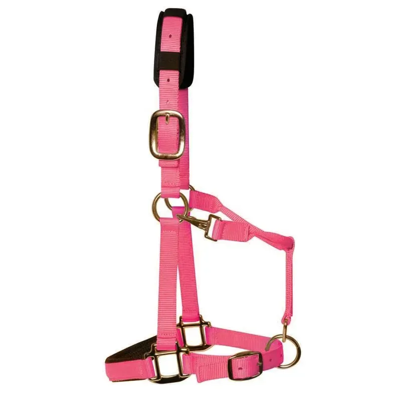KM Elite Padded Headcollar in Pink