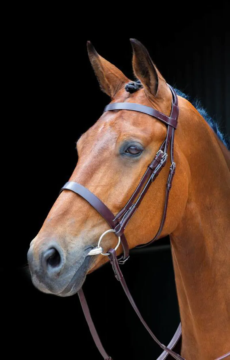 Salisbury Berrington Bridle In Australian Nut