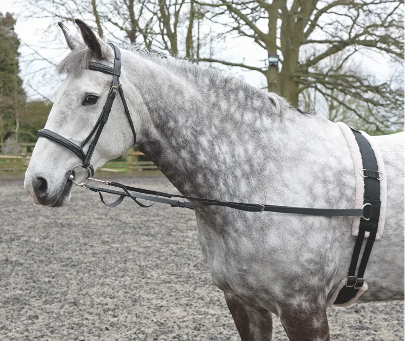 Shires Nylon Web Side Reins in Black