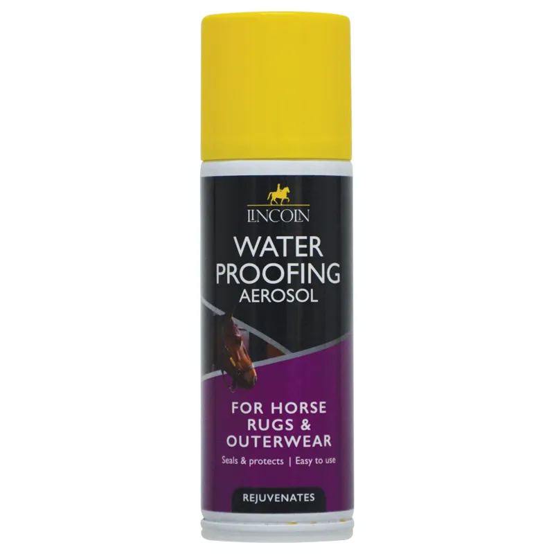 Lincoln 150g Water Proofing Aerosol