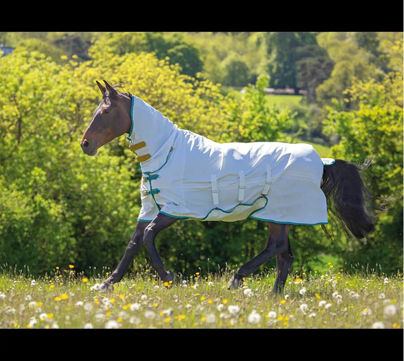 Tempest Plus Sweet-Itch Combo Rug in White