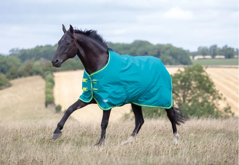 Tempest Original 50 Turnout Rug BLUE