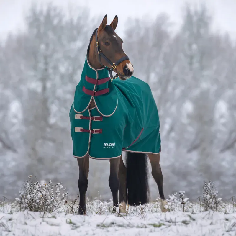 Tempest Original 200 Turnout Rug and Neck Set in Green