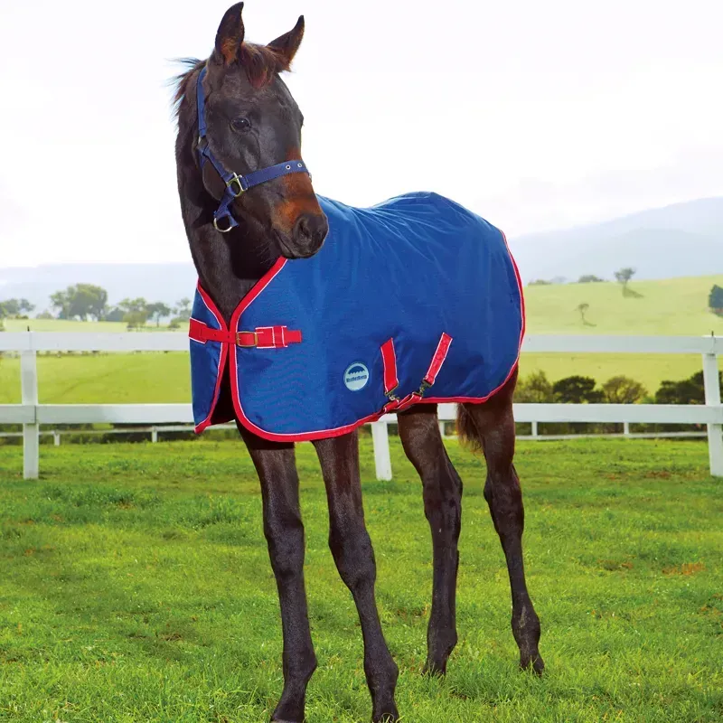 WeatherBeeta Medium II 1200D Foal Standard Neck in Navy/Red/White
