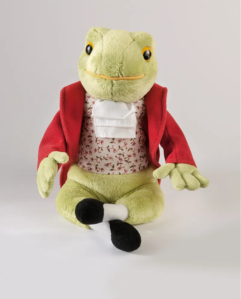 Mr Jeremy Fisher Large