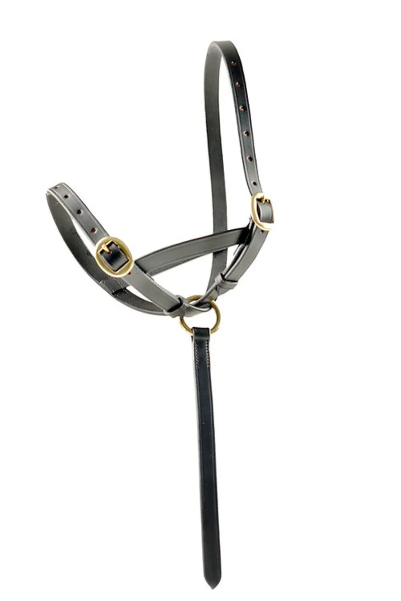 Dever Ascot Foal Slip