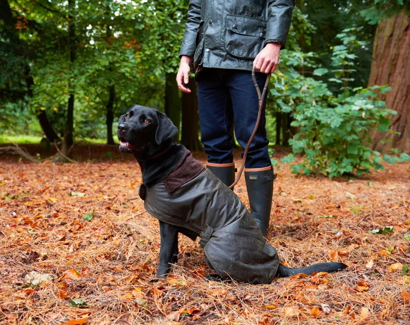 Barbour Wax Dog Coat in Olive-2