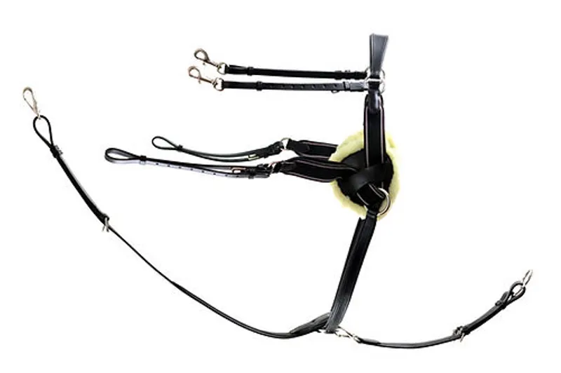 Dever Ascot 5 Point Breast Plate-1