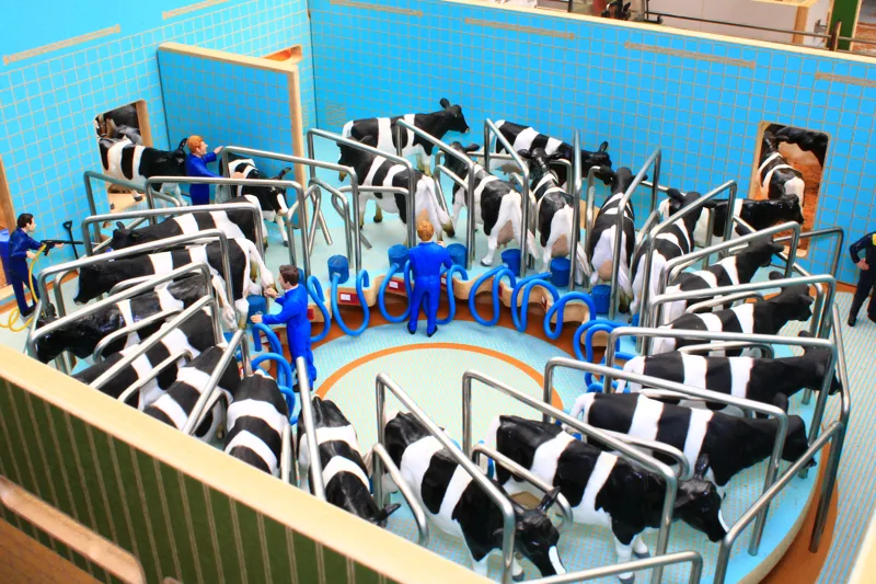 Brushwood 1-32 Rotary Milking Parlour-2