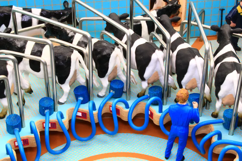 Brushwood 1-32 Rotary Milking Parlour-5