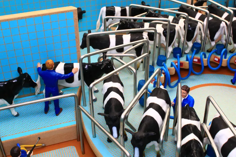 Brushwood 1-32 Rotary Milking Parlour-6