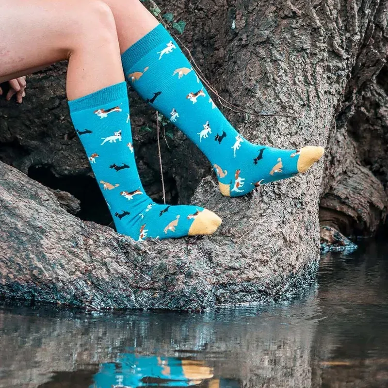 Bartleby Women's Size 4-8 Funky Patterned Welly Socks in Doggy Divas