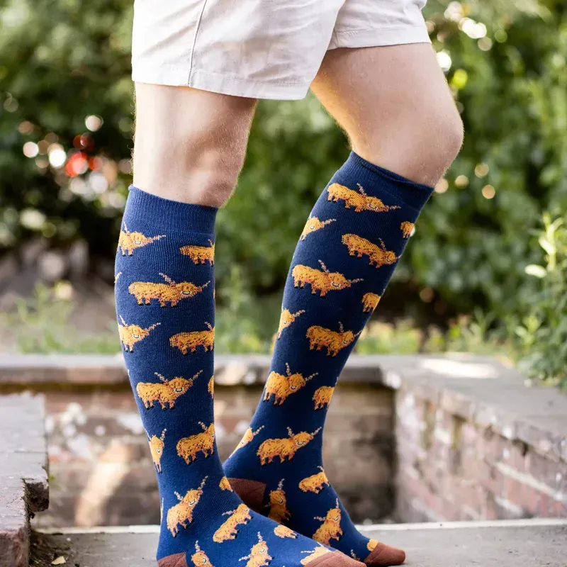 Bartleby Men's Size 6-11 Outdoor Funky Patterned Welly Socks in Hardy Highlands