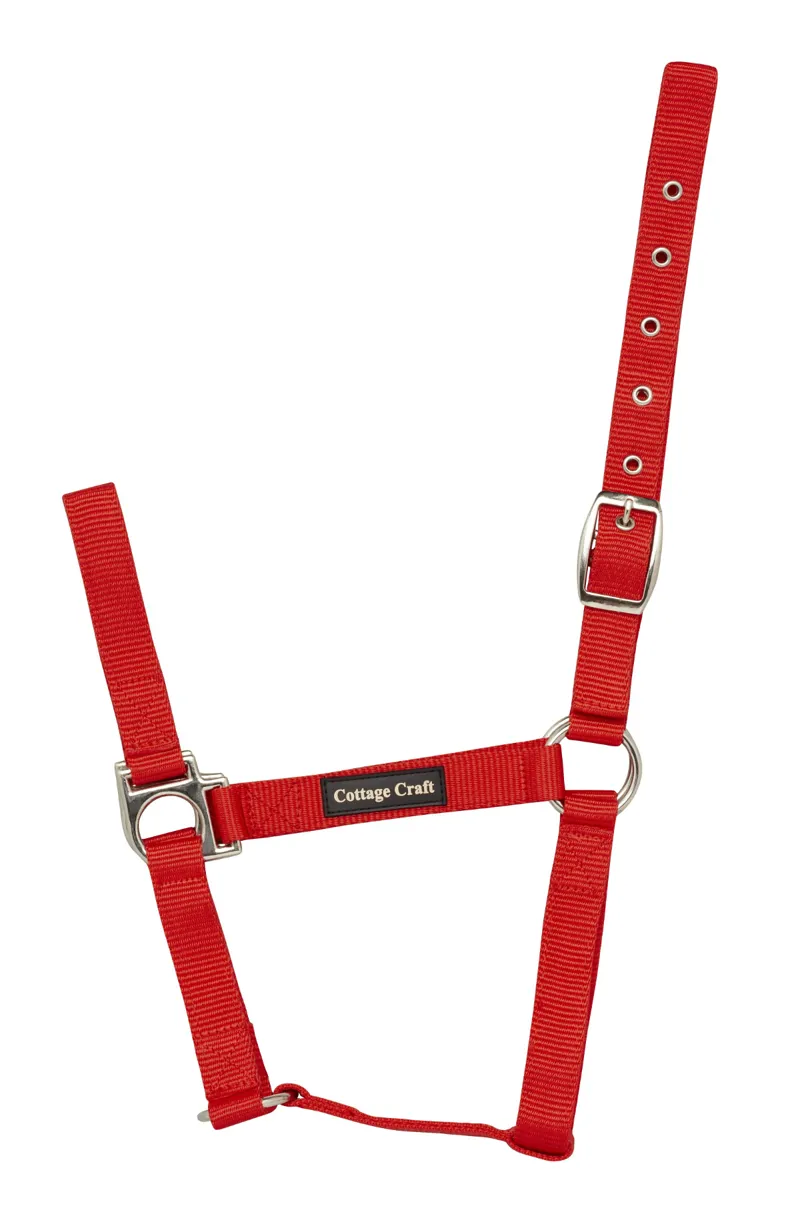Cottage Craft Headcollar Standard - RED full