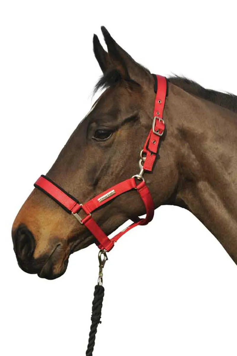 Cottage Craft Safe Turnout Headcollar in Red