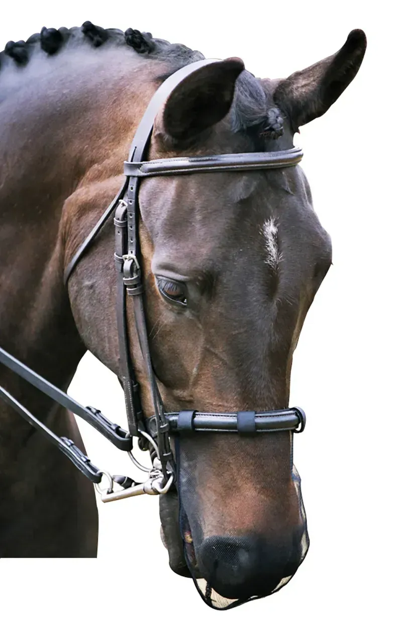 Equilibrium Net Relief Muzzle Net in Black