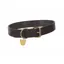 Digby and Fox Flat XXL Leather Dog Collar in Brown