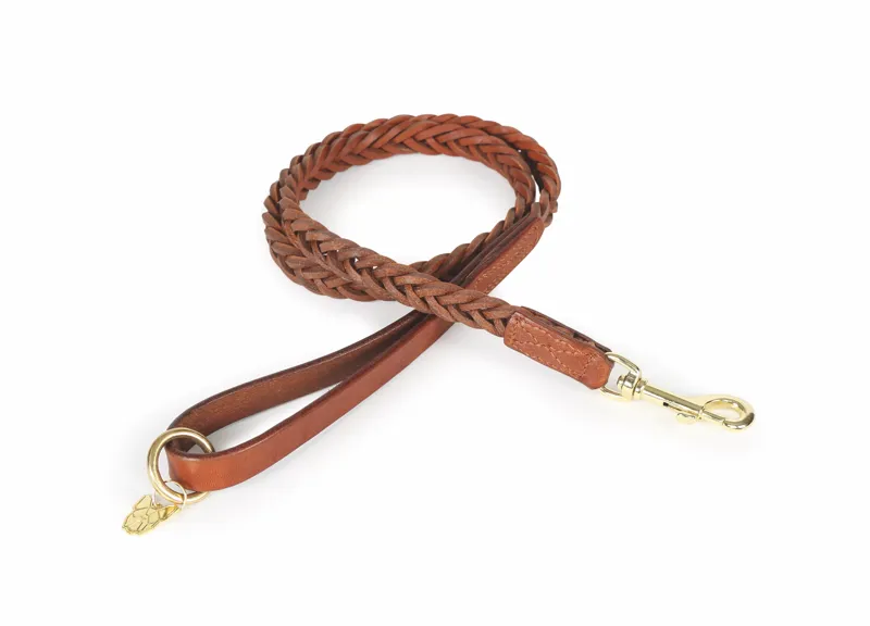 Digby and Fox Plaited Dog Lead in Tan