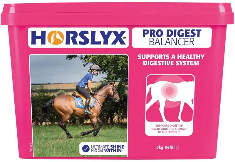 Horslyx 5kg Pro Digest Balancer Lick in Pink