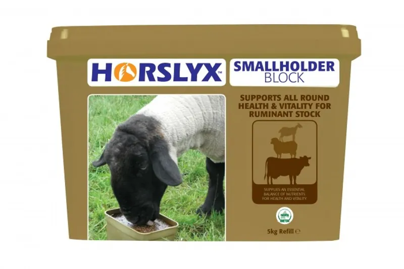 Horslyx 5kg Smallholder Block in Brown