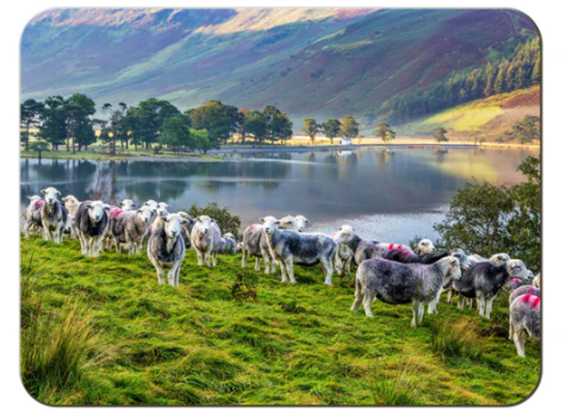 Herdies Worktop Saver Melamine