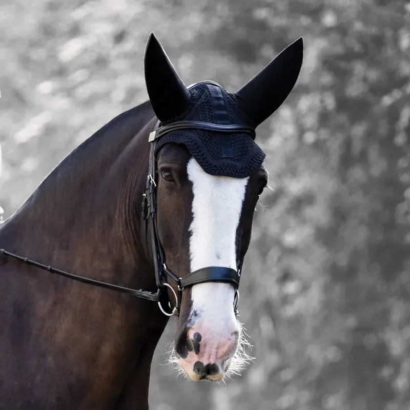 Equetech Horse Soundless Ear Net Hood in Black