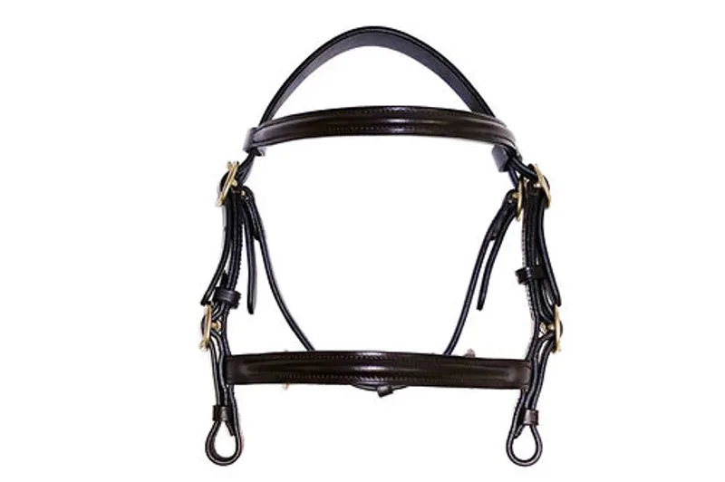 Dever Ascot In Hand Leather Bridle