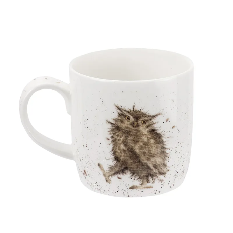 Wrendale What a Hoot Mug-1