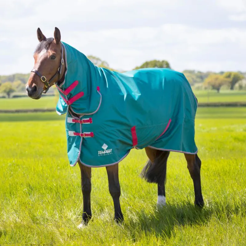 Tempest Original Air Motion Combo Rug GREEN