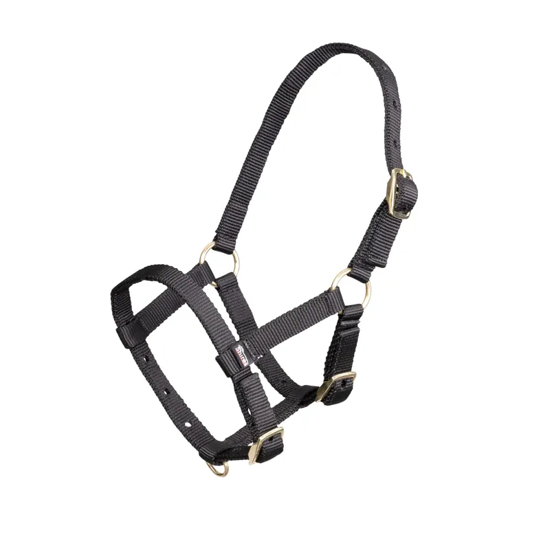 Arma Foal Headcollar in Black