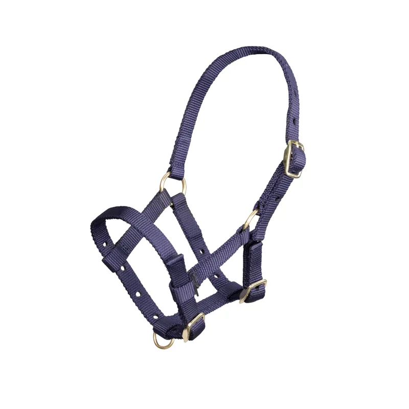 Arma Foal Headcollar in Navy