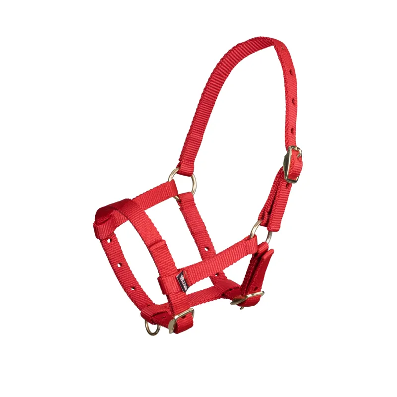 Arma Foal Headcollar in Red