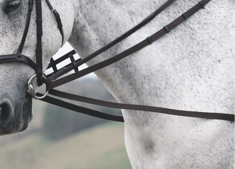 Velociti GARA Cotton Web Draw/Running Reins in Black 