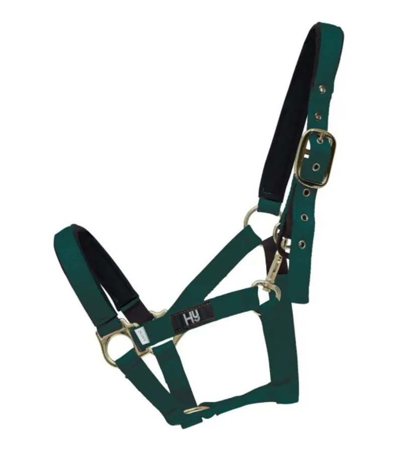 Hy Equestrain Fieldsafe Head Collar in Green