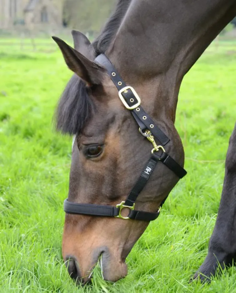 Hy Equestrain Fieldsafe Head Collar in Green-1