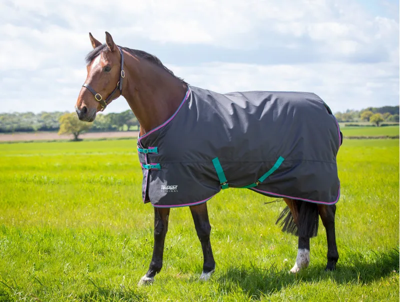 Tempest Original 300 Turnout Rug BLACK