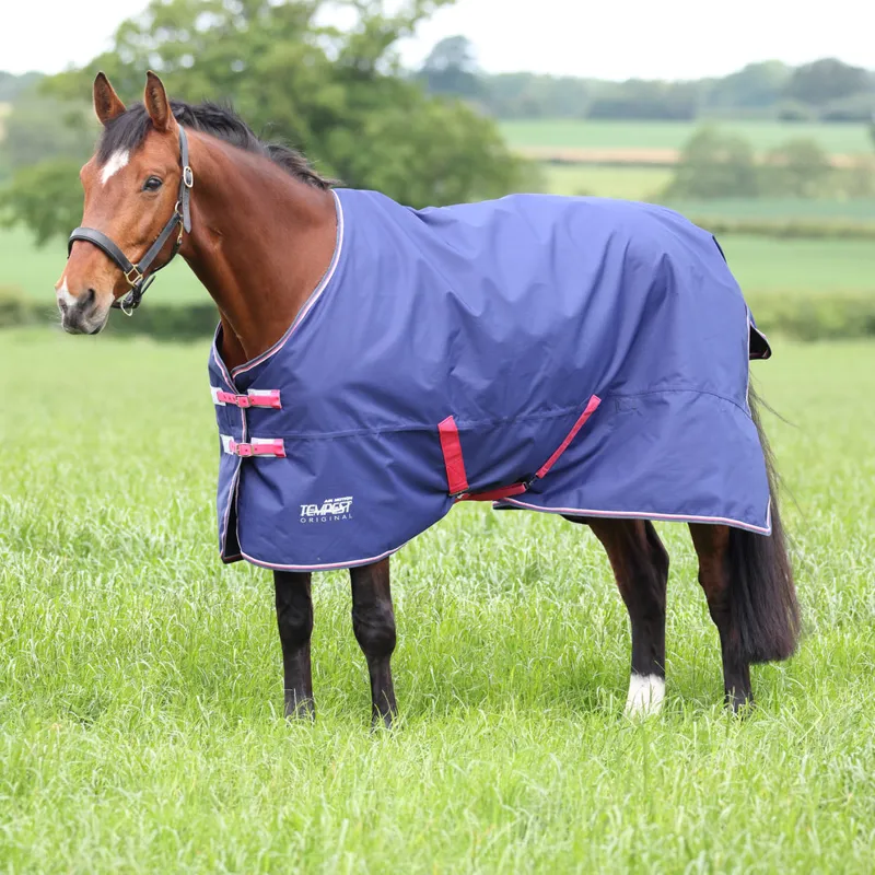 Tempest Original Air Motion Turnout Rug NAVY