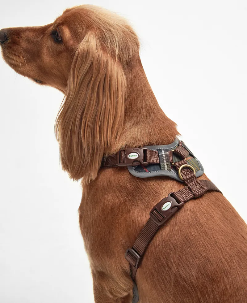 Barbour Fully Adjustable Harness in Classic Tartan-2