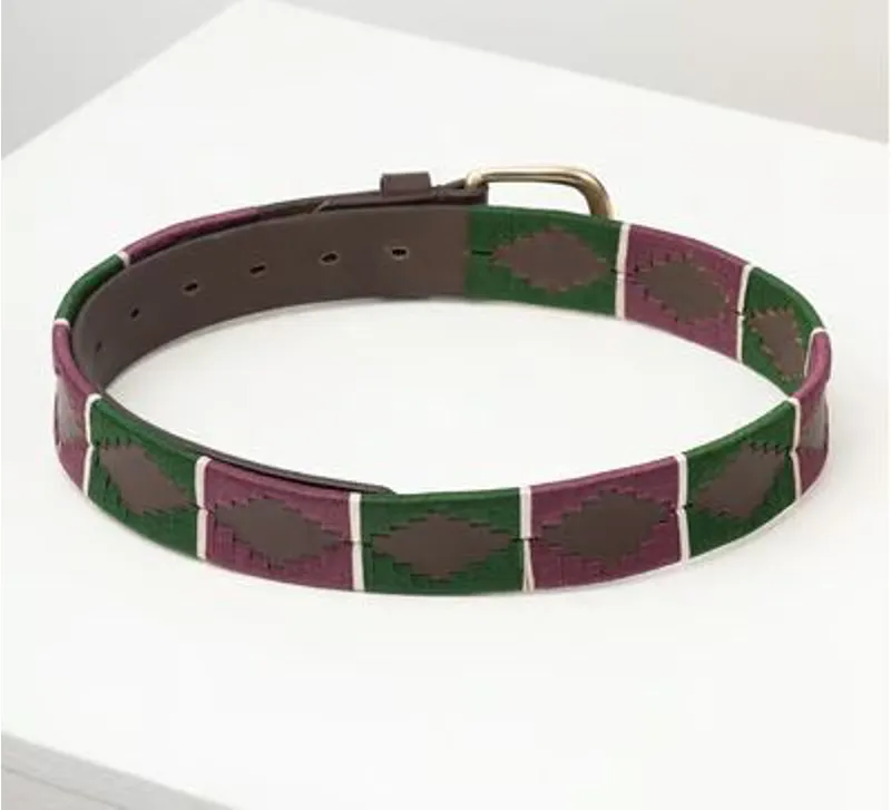 Rydale Askwith Polo Belt in Olive/White/Berry-1