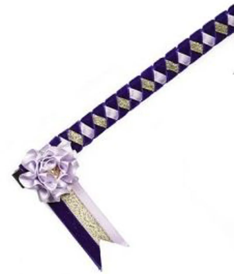 Elico Cayton Browband in Purple