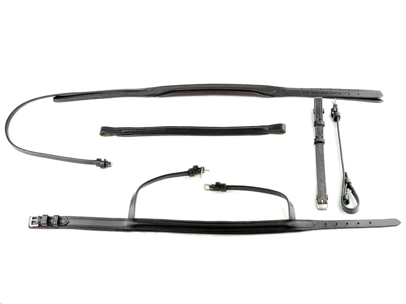 Dever Ascot Comfort Show Bridle-2