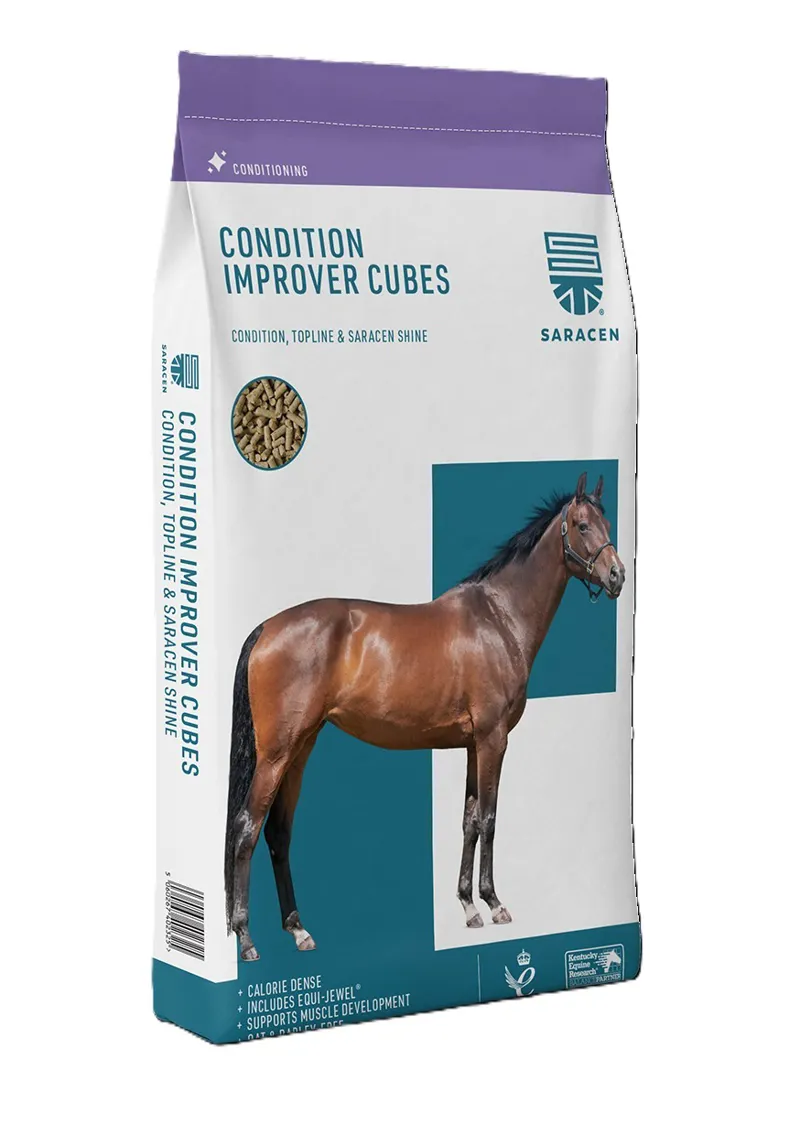 Saracen Condition Improver Cubes 20kg