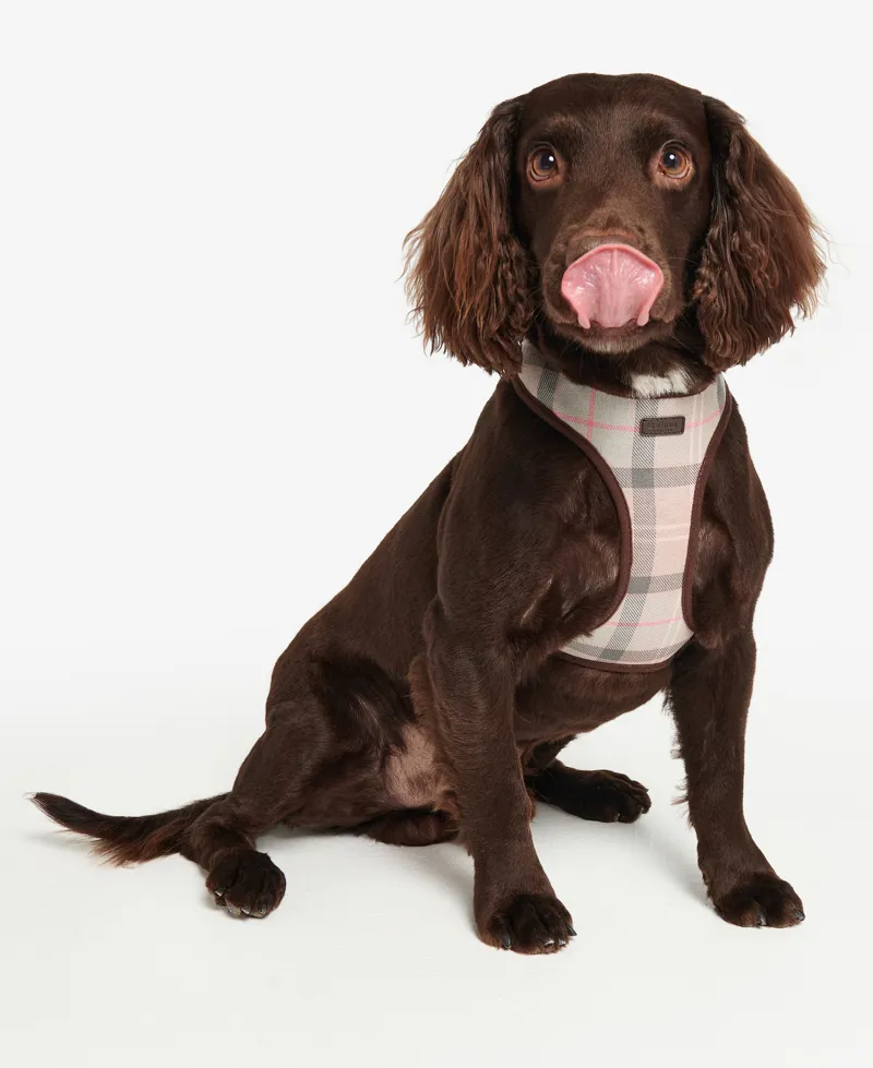 Barbour Tartan Dog Harness in Pink-3