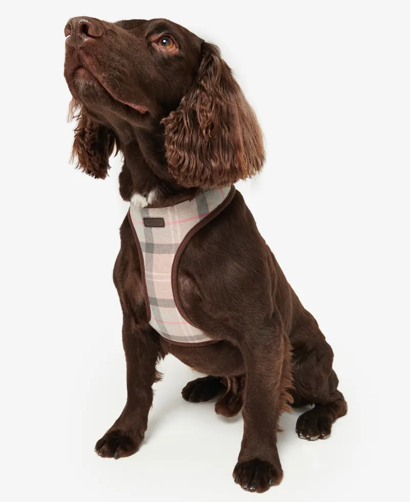 Barbour Tartan Dog Harness in Pink-4