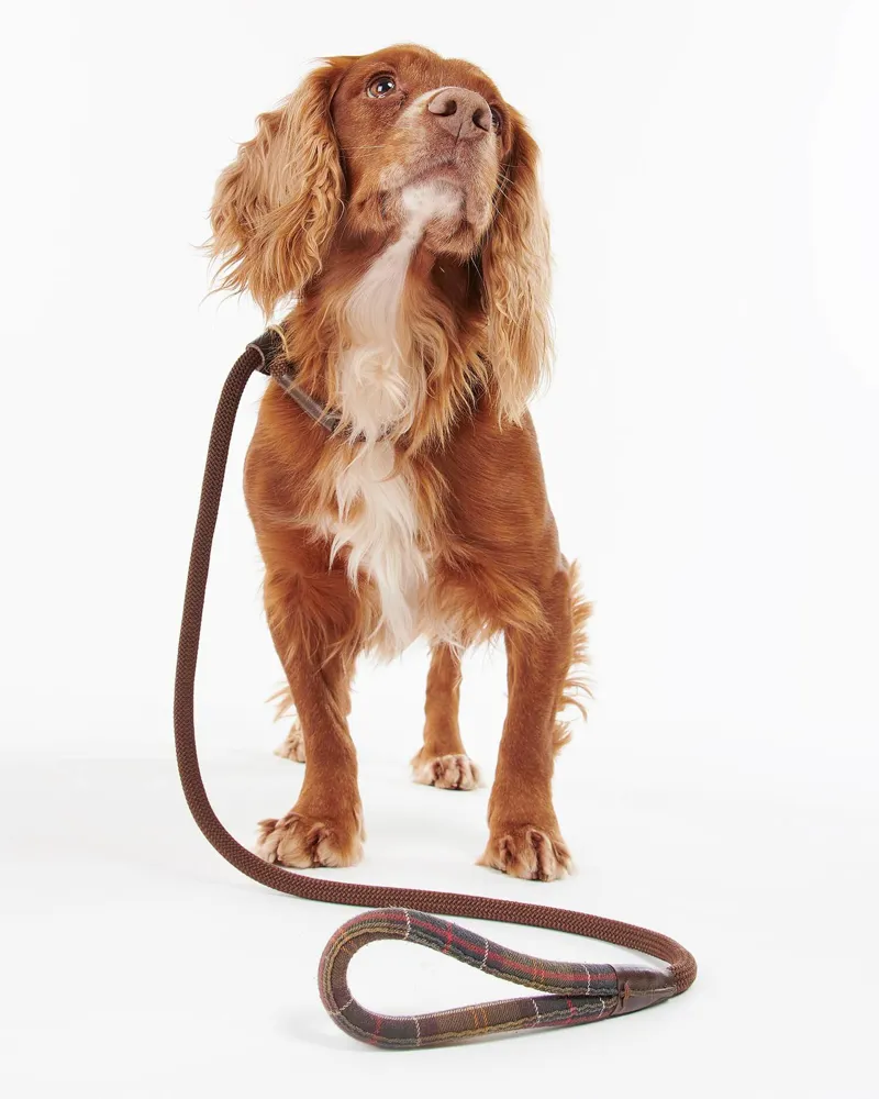 Barbour Tartan Trimmed Slip Lead-1