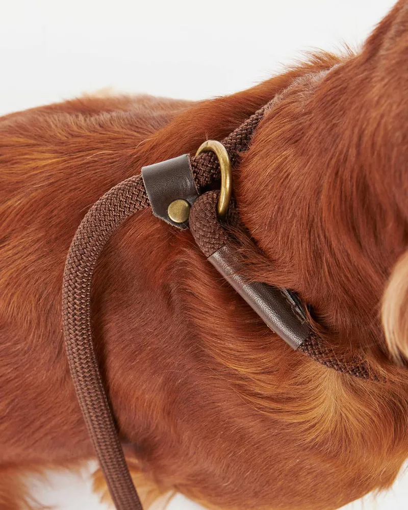 Barbour Tartan Trimmed Slip Lead-5