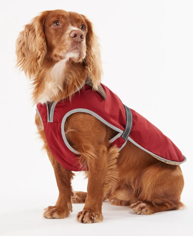 Barbour Monmouth Waterproof Dog Coat in Red-6