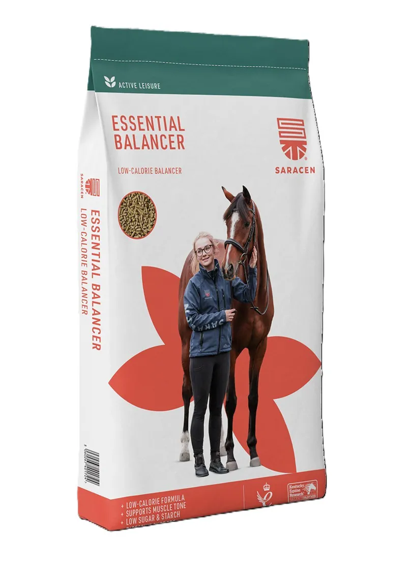 Saracen Essential Balancer 20kg
