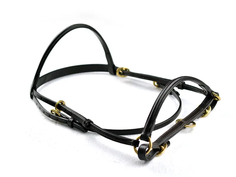 Dever Ascot Filly Slip-1