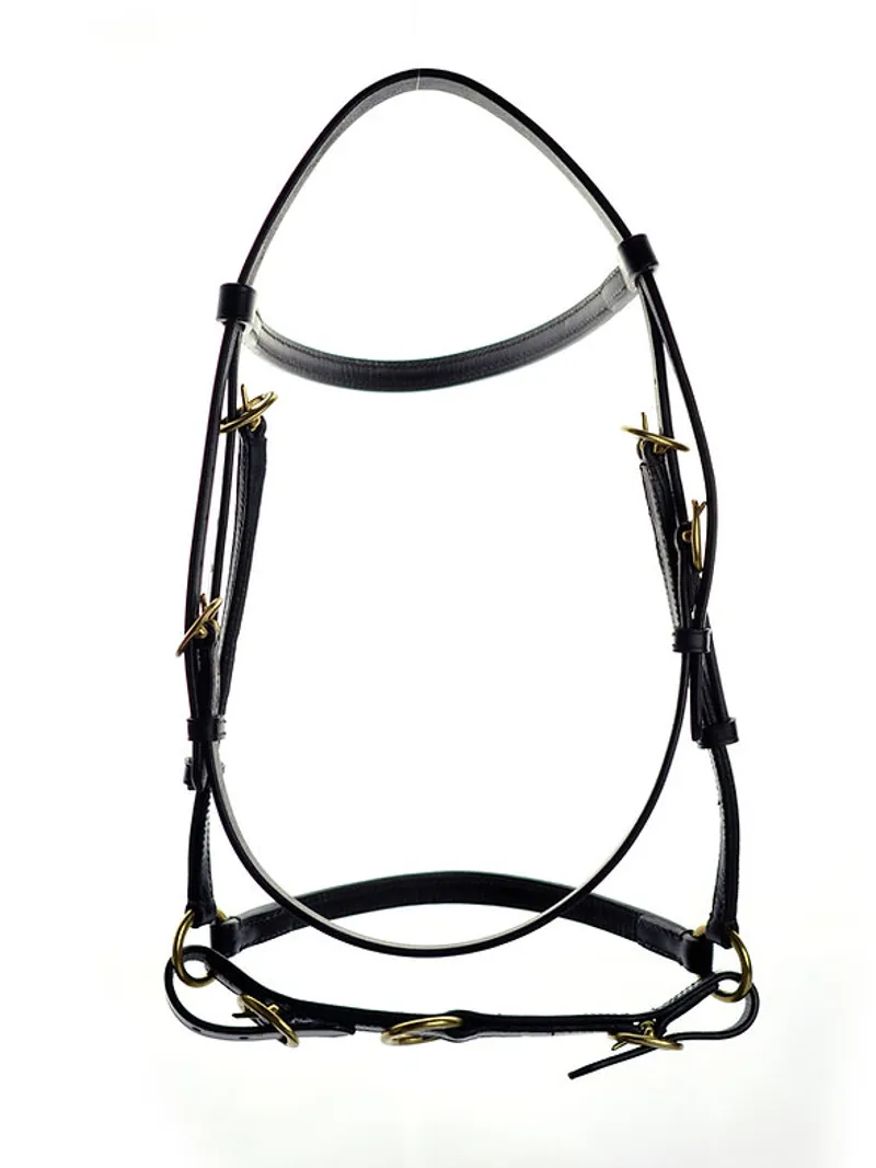 Dever Ascot Filly Slip